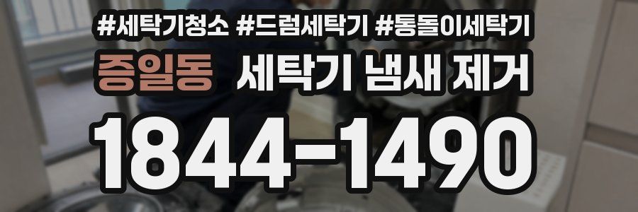 증일동 세탁기 냄새 제거