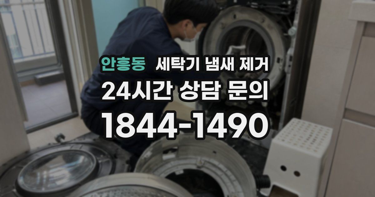 안흥동 세탁기 냄새 제거