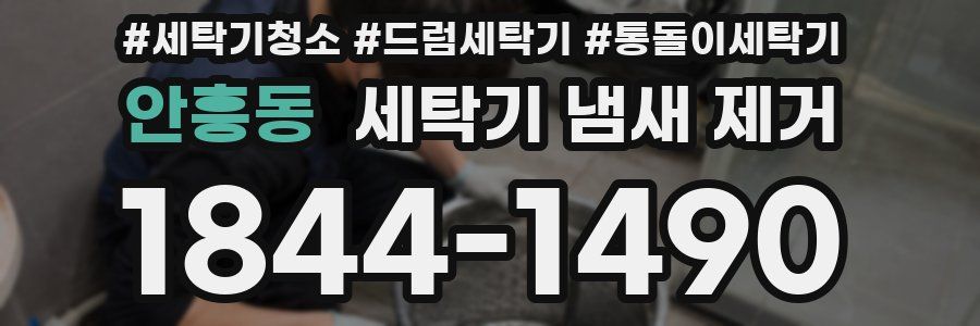 안흥동 세탁기 냄새 제거