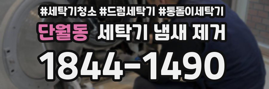 단월동 세탁기 냄새 제거