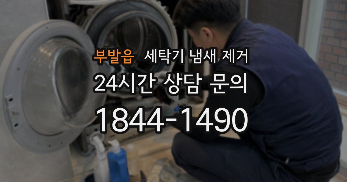 부발읍 세탁기 냄새 제거