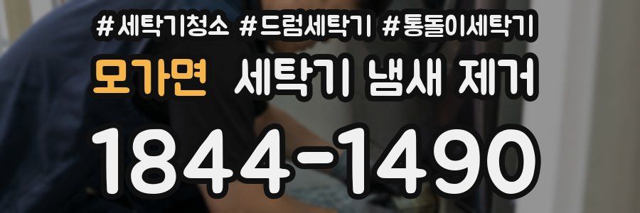 모가면 세탁기 냄새 제거