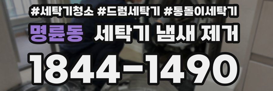 명륜동 세탁기 냄새 제거