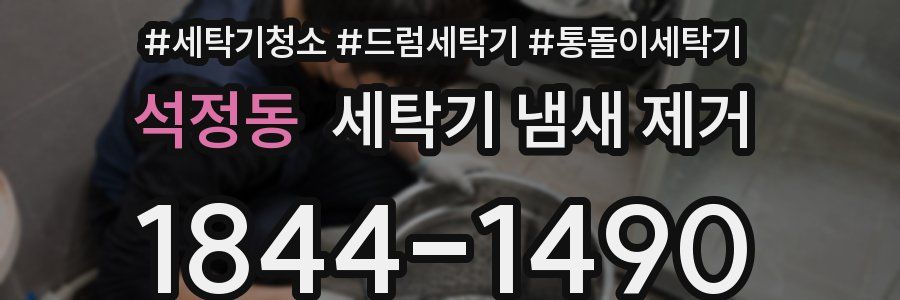 석정동 세탁기 냄새 제거