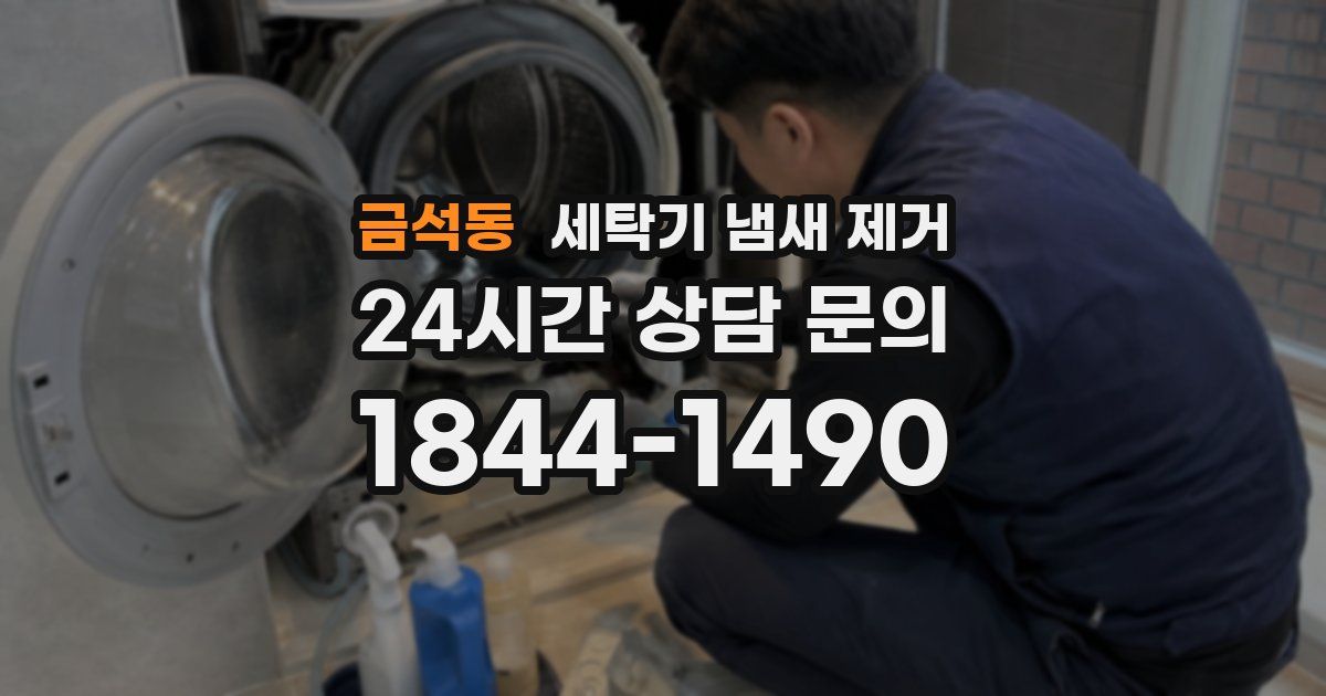 금석동 세탁기 냄새 제거