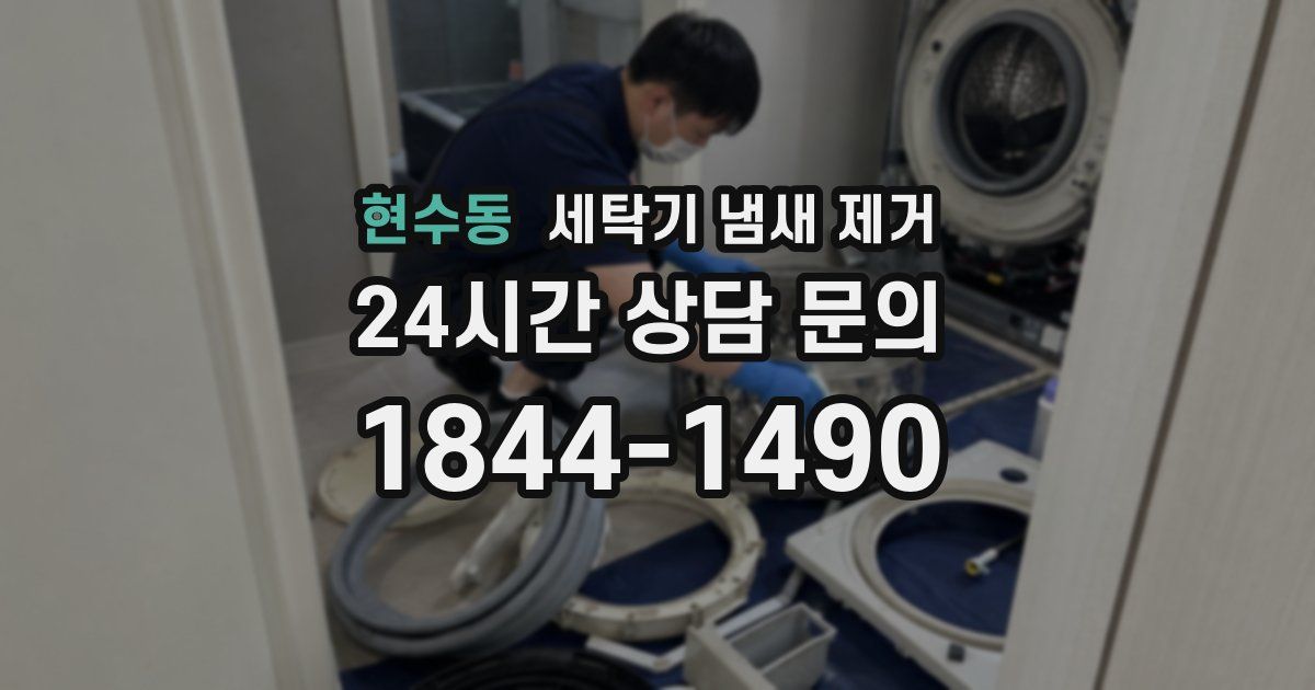 현수동 세탁기 냄새 제거