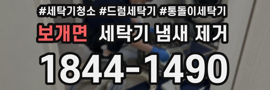 보개면 세탁기 냄새 제거