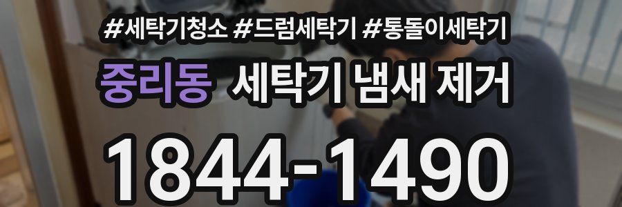 중리동 세탁기 냄새 제거