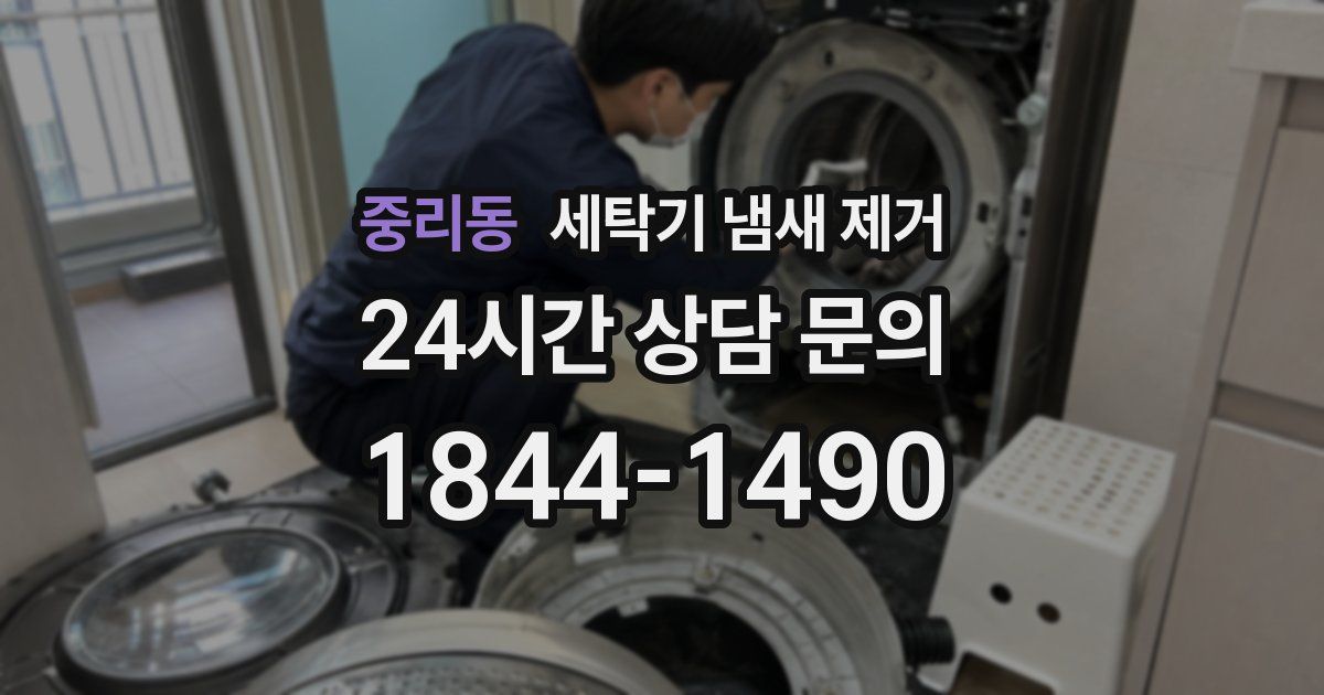 중리동 세탁기 냄새 제거