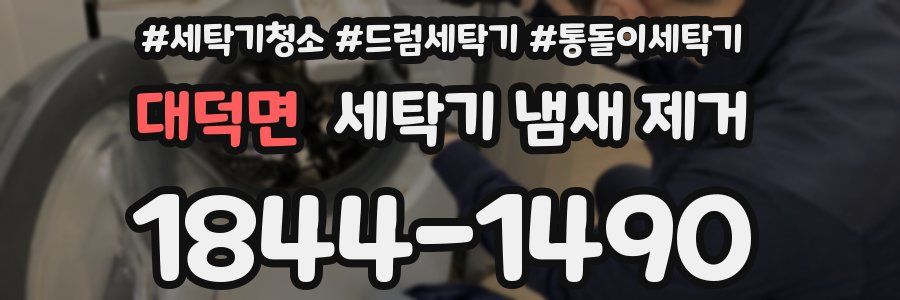 대덕면 세탁기 냄새 제거