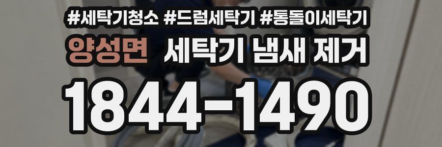 양성면 세탁기 냄새 제거