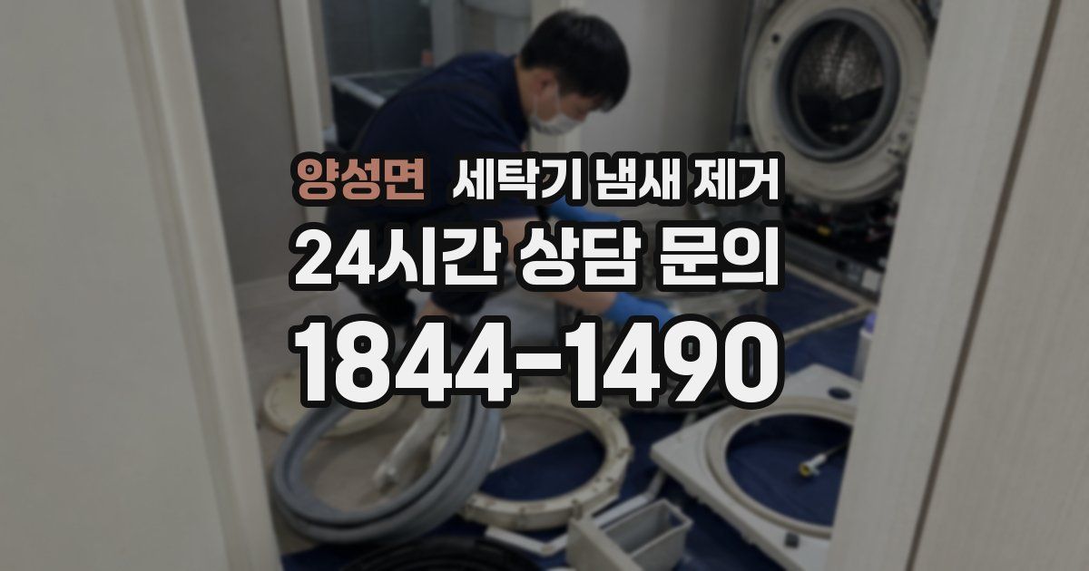 양성면 세탁기 냄새 제거
