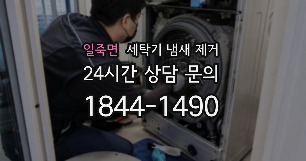 일죽면 세탁기 냄새 제거