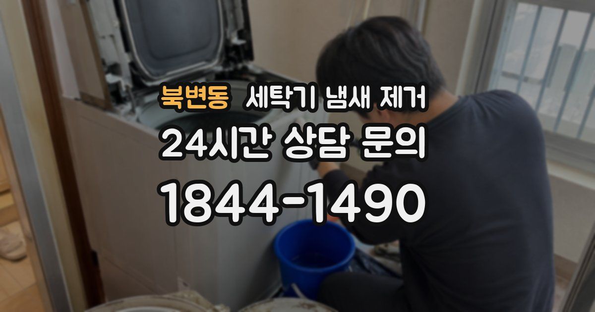 북변동 세탁기 냄새 제거