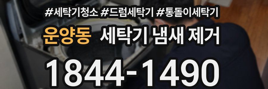 운양동 세탁기 냄새 제거