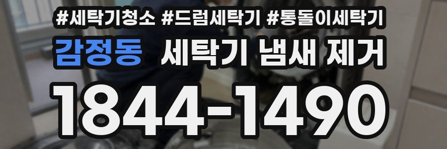 감정동 세탁기 냄새 제거