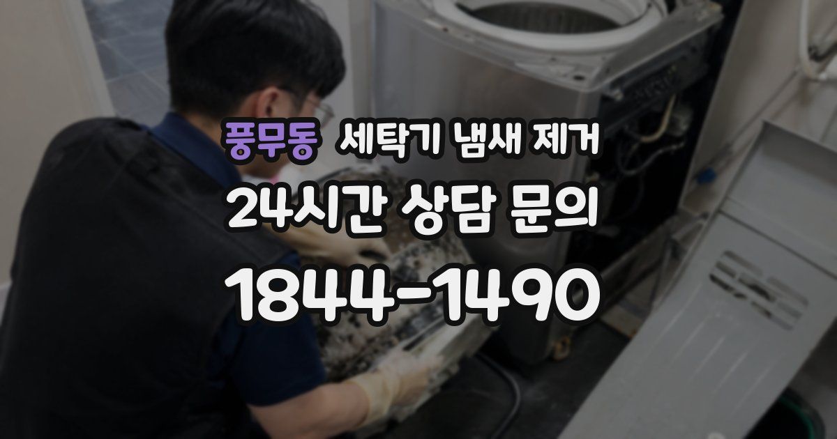 풍무동 세탁기 냄새 제거