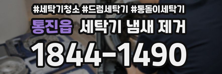 통진읍 세탁기 냄새 제거