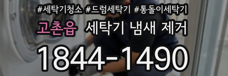 고촌읍 세탁기 냄새 제거