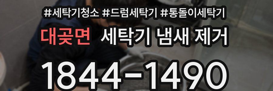대곶면 세탁기 냄새 제거