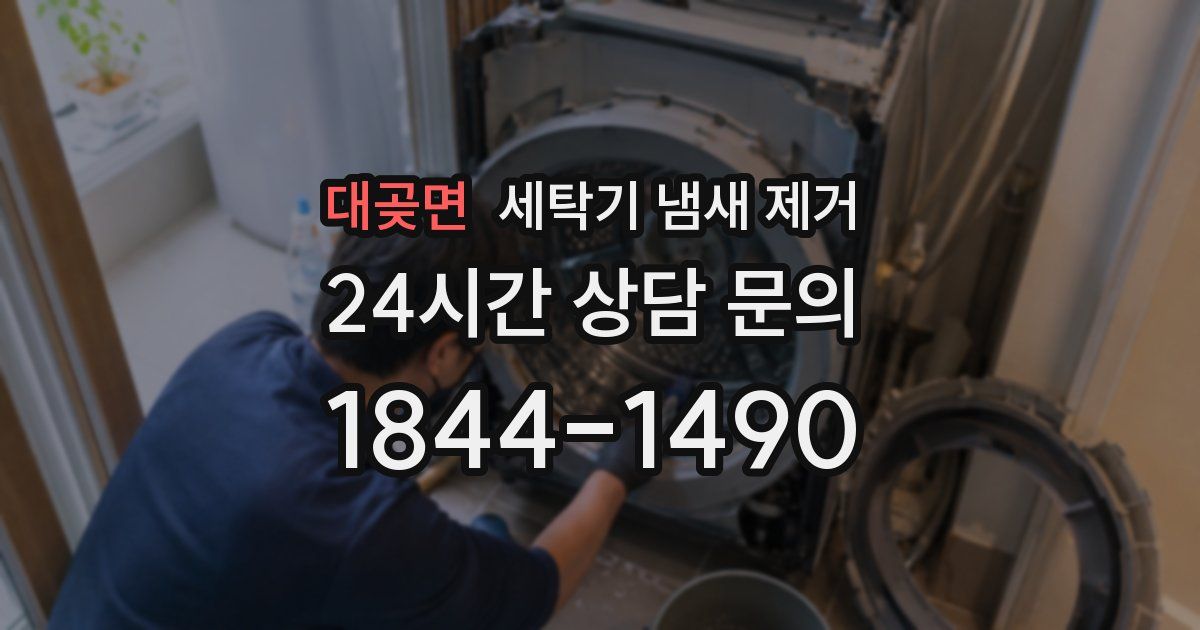 대곶면 세탁기 냄새 제거