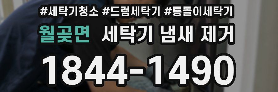월곶면 세탁기 냄새 제거