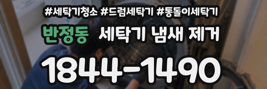반정동 세탁기 냄새 제거