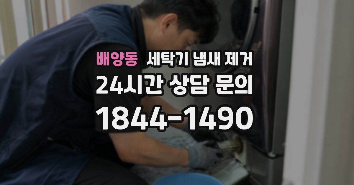 배양동 세탁기 냄새 제거
