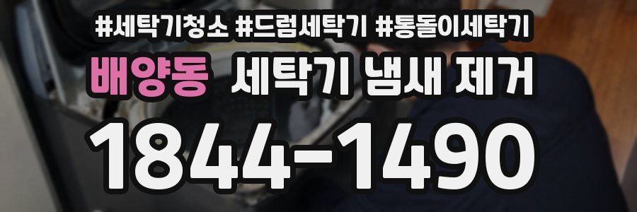 배양동 세탁기 냄새 제거