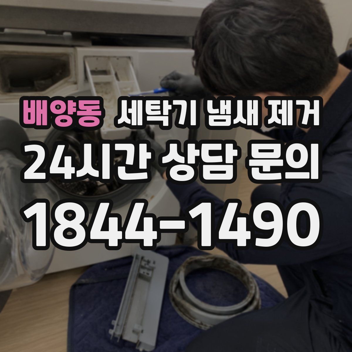 배양동 세탁기 냄새 제거