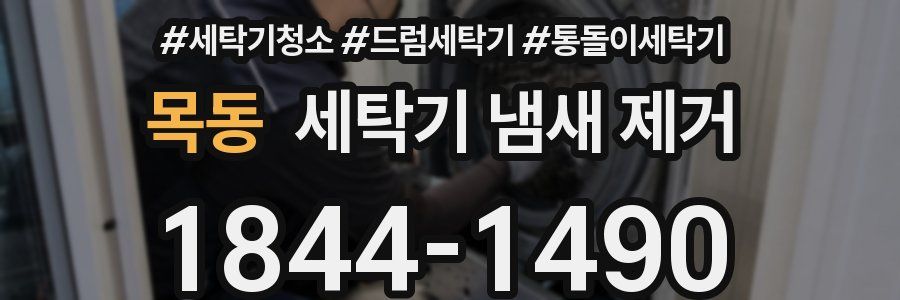 목동 세탁기 냄새 제거