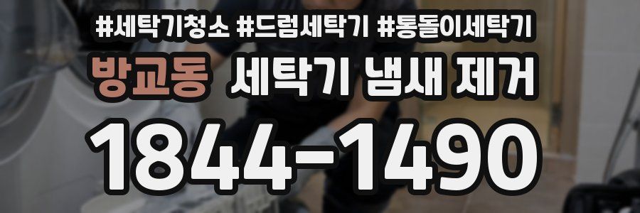방교동 세탁기 냄새 제거