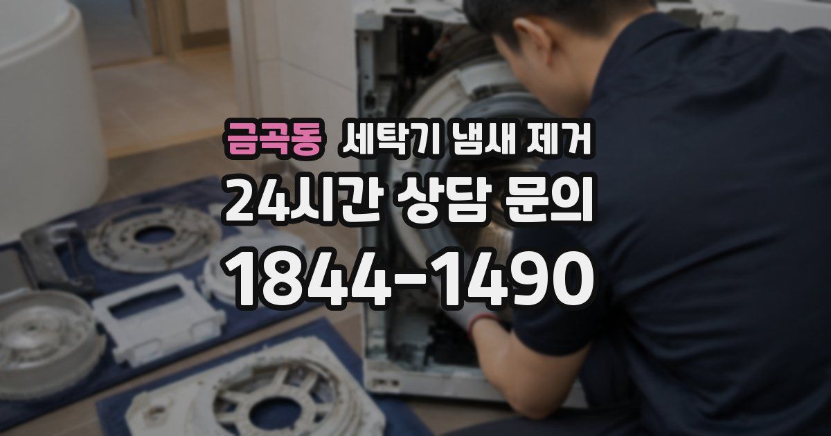 금곡동 세탁기 냄새 제거