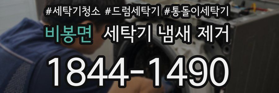 비봉면 세탁기 냄새 제거