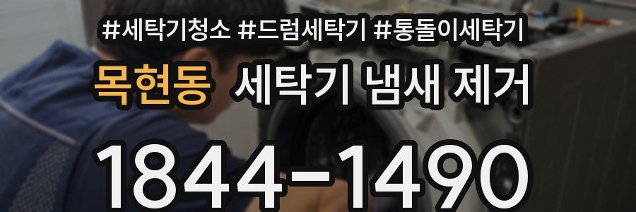 목현동 세탁기 냄새 제거