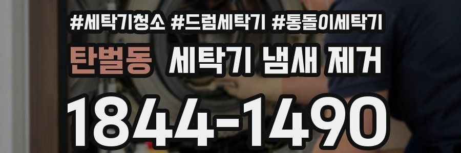 탄벌동 세탁기 냄새 제거