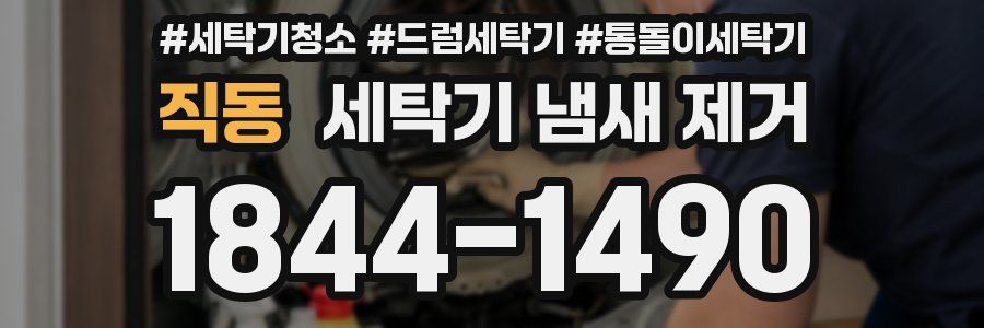 직동 세탁기 냄새 제거