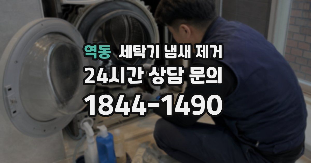 역동 세탁기 냄새 제거