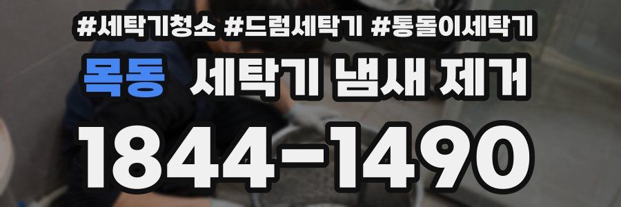 목동 세탁기 냄새 제거