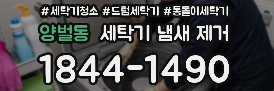 양벌동 세탁기 냄새 제거