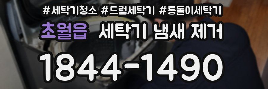 초월읍 세탁기 냄새 제거