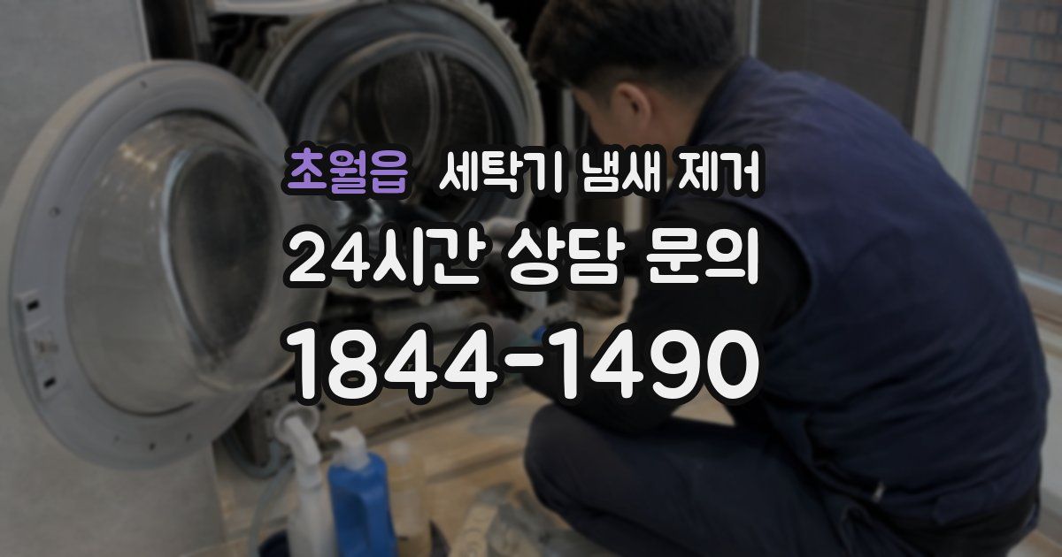 초월읍 세탁기 냄새 제거