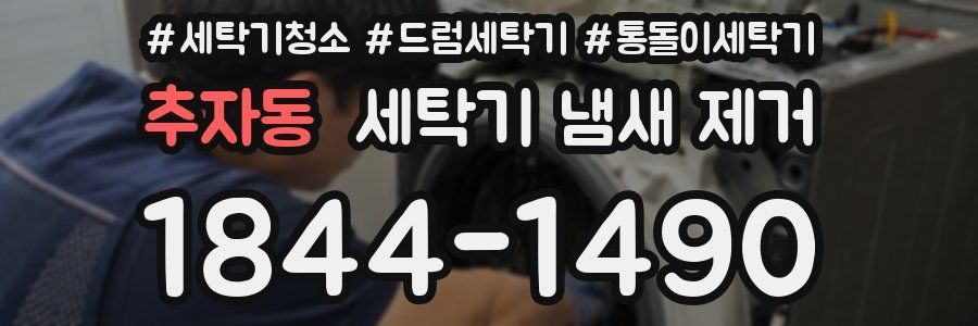 추자동 세탁기 냄새 제거