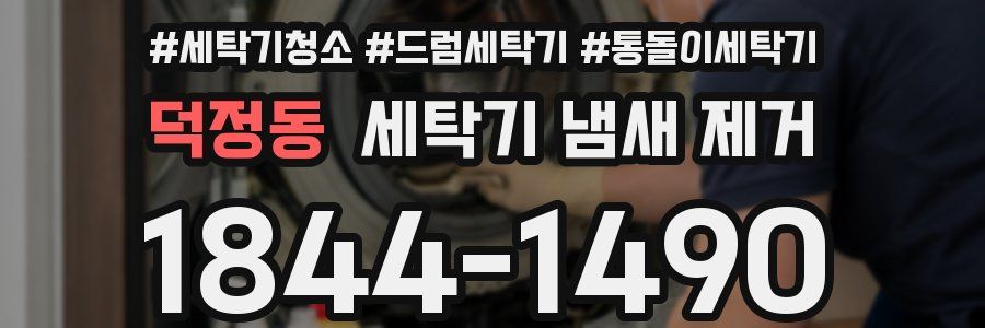 덕정동 세탁기 냄새 제거