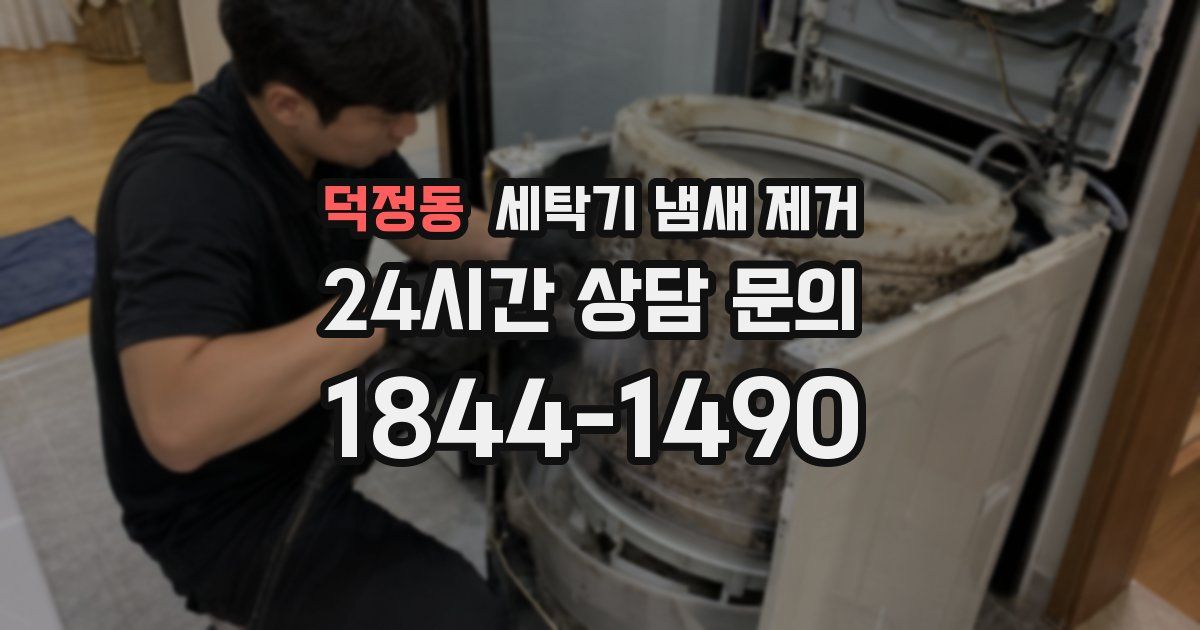 덕정동 세탁기 냄새 제거