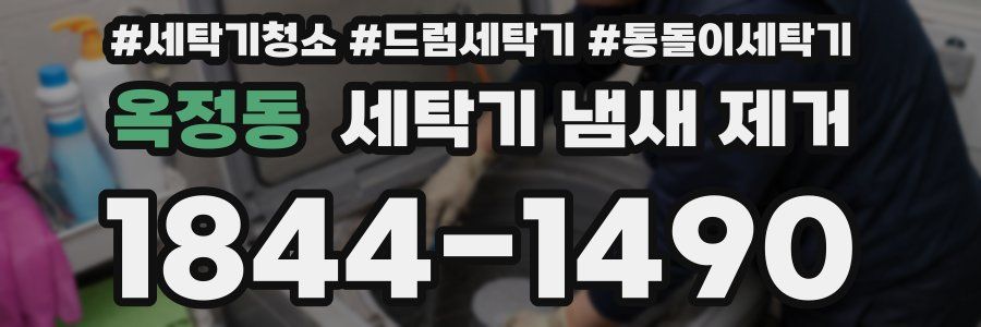 옥정동 세탁기 냄새 제거