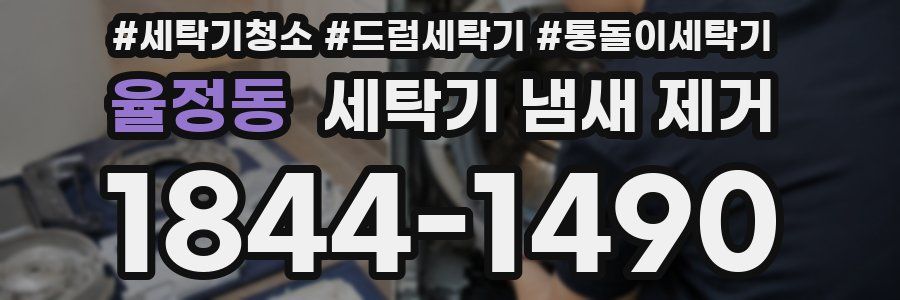 율정동 세탁기 냄새 제거