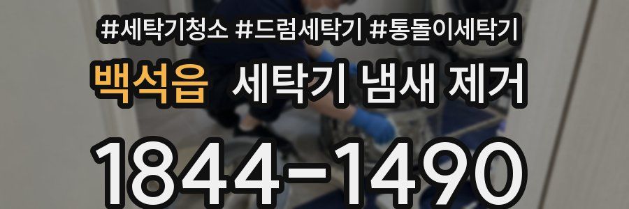 백석읍 세탁기 냄새 제거