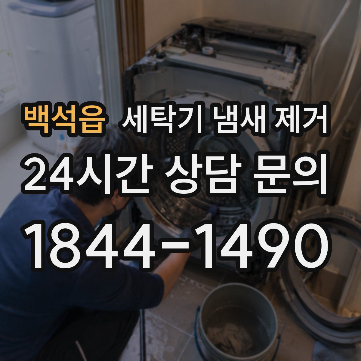 백석읍 세탁기 냄새 제거