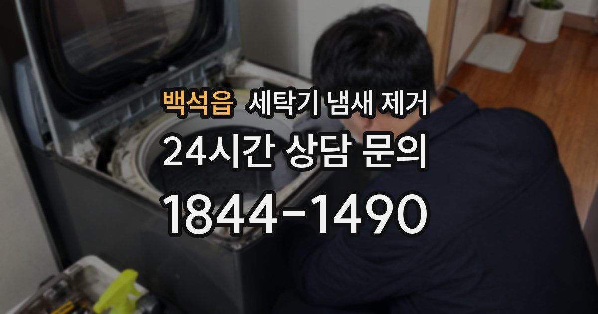 백석읍 세탁기 냄새 제거
